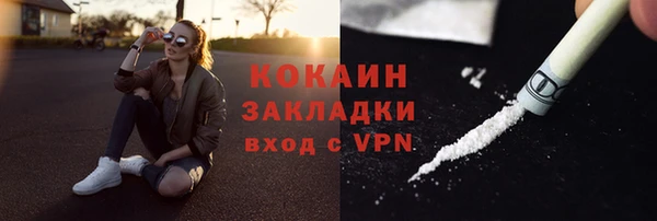 стафф Алексин