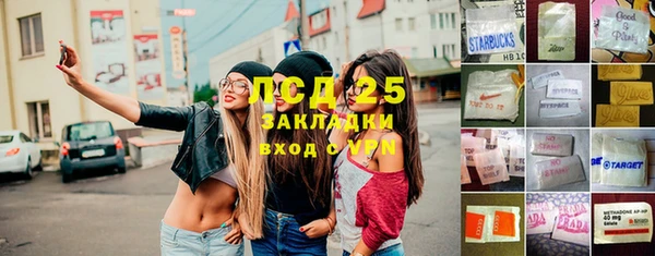 стафф Алексин