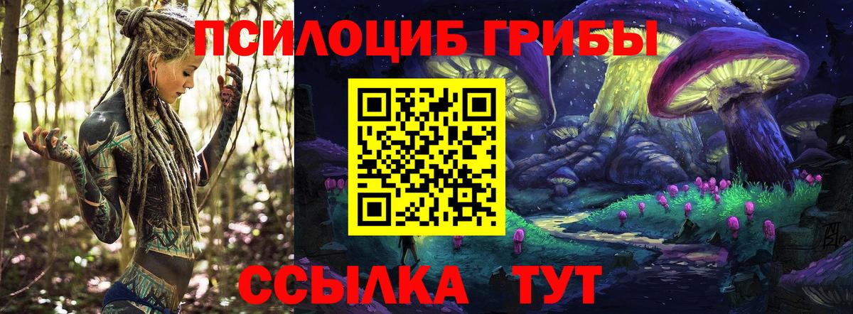 Салават  купить  цена  Вход с VPN  Псилоцибиновые грибы Psilocybine cubensis 
