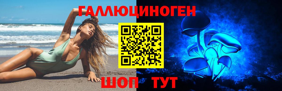 Псилоцибиновые грибы Psilocybe Салават